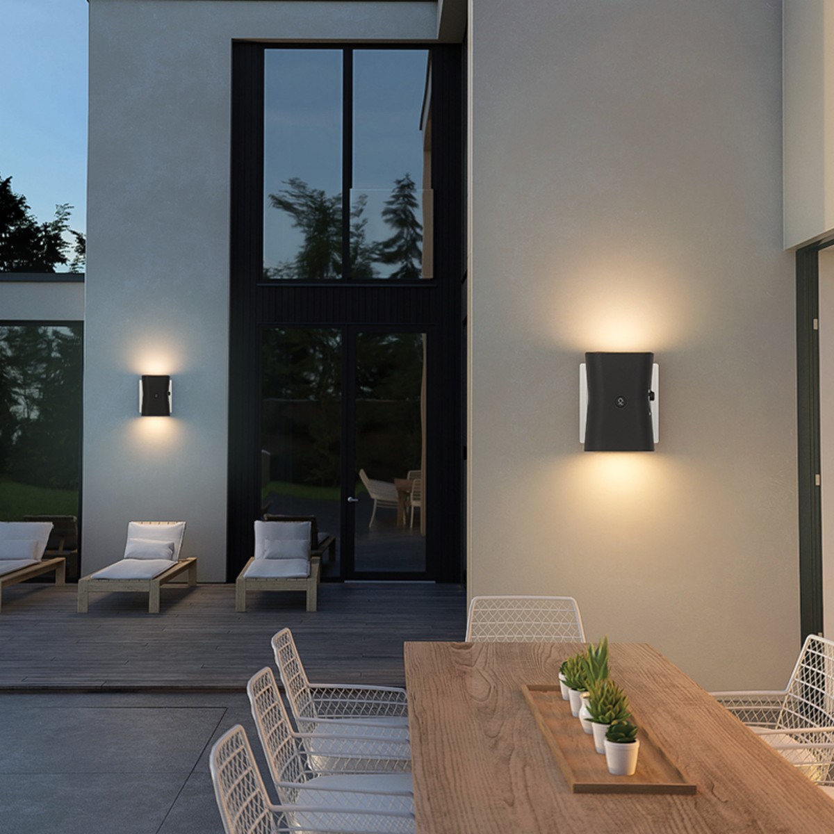 LED Night Light Plug in